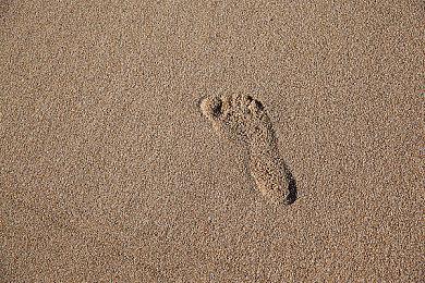 《Fera: 破碎部落》9月17日EA发售 暂不支持中文